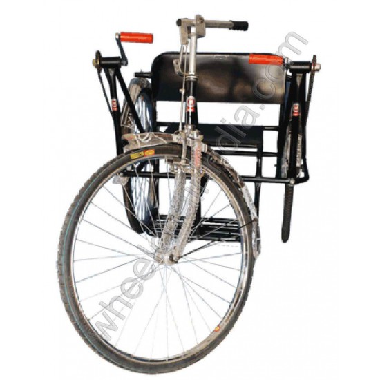 Handicapped Tricycle Standard Double Hand Drive